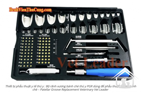 PGR - Bộ rãnh xương bánh chè titan