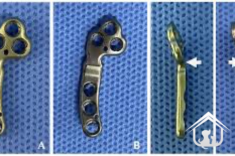 ĐÁNH GIÁ HIỆU QUẢ CỦA BẢN NẸP TPLO CẢI TIẾN TRONG ĐIỀU TRỊ  ĐỨT DÂY CHẰNG CHÉO TRƯỚC VÀ TRẬT XƯƠNG BÁNH CHÈ Ở CHÓ NHỎ.