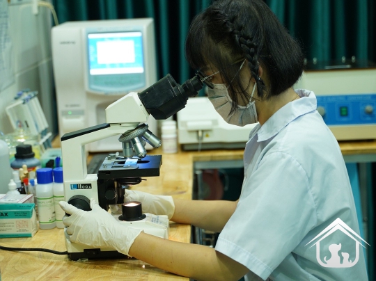 Xét nghiệm cho các "khách hàng" nhỏ